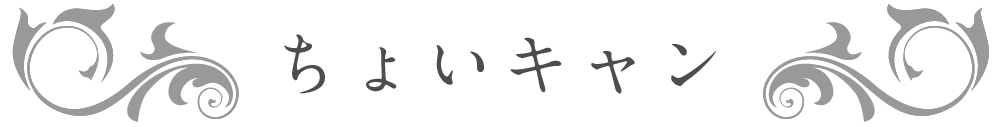 ちょいキャン